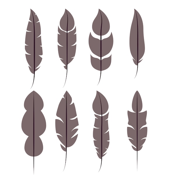 Download Premium Vector | Feather pattern set isolated icon design