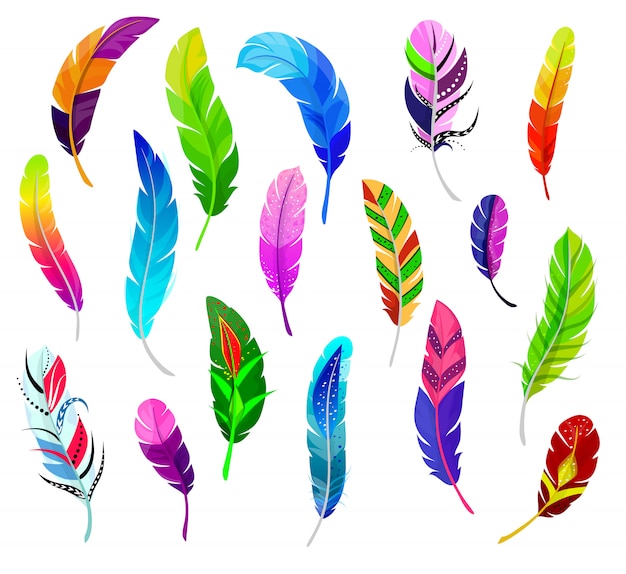 羽ベクトルふわふわ羽毛クイルと色羽ペン装飾のカラフルな羽毛鳥プルームセット プレミアムベクター