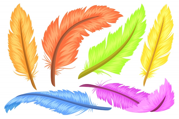 Download Feathers, different shapes and colors. Vector | Premium ...