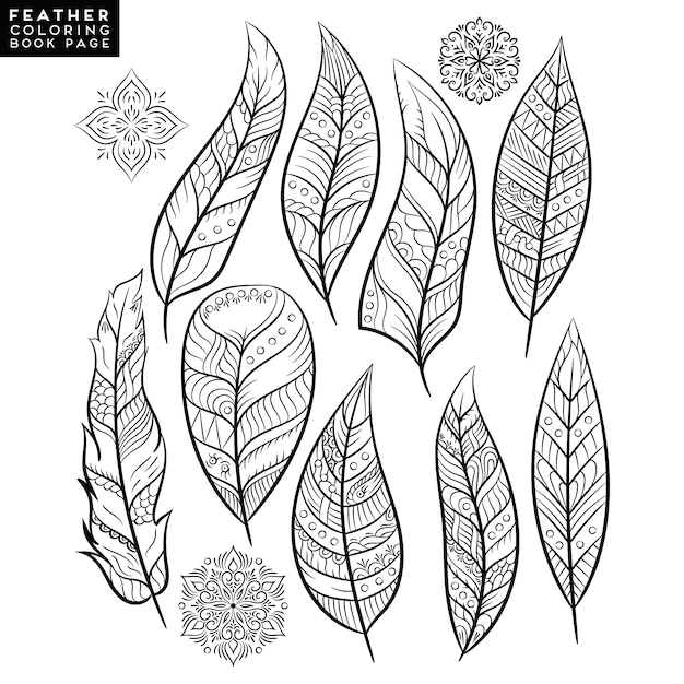 Download Feathers with mandala design | Premium Vector