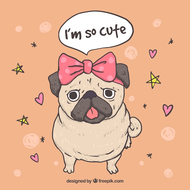 Female pug with lovely style