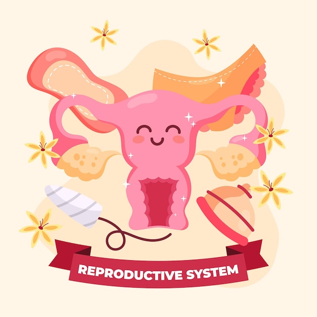 Premium Vector Female Human Reproductive System Beaut 