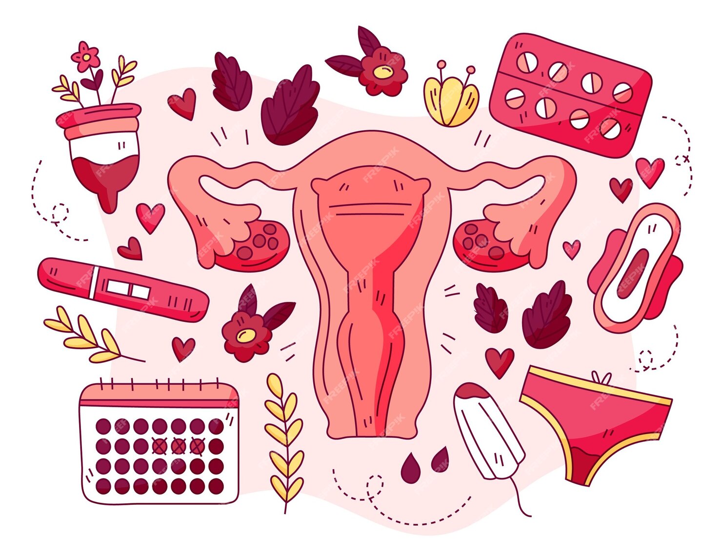 Premium Vector | Female reproductive system concept