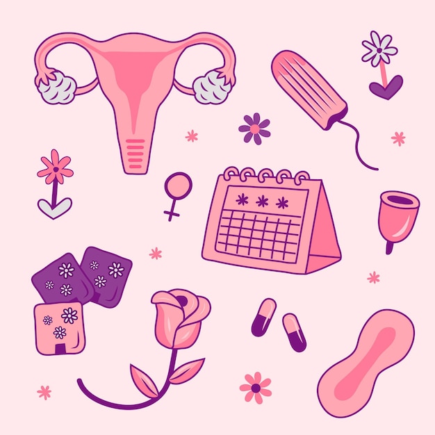 Free Vector Female Reproductive System Hand Drawn Style