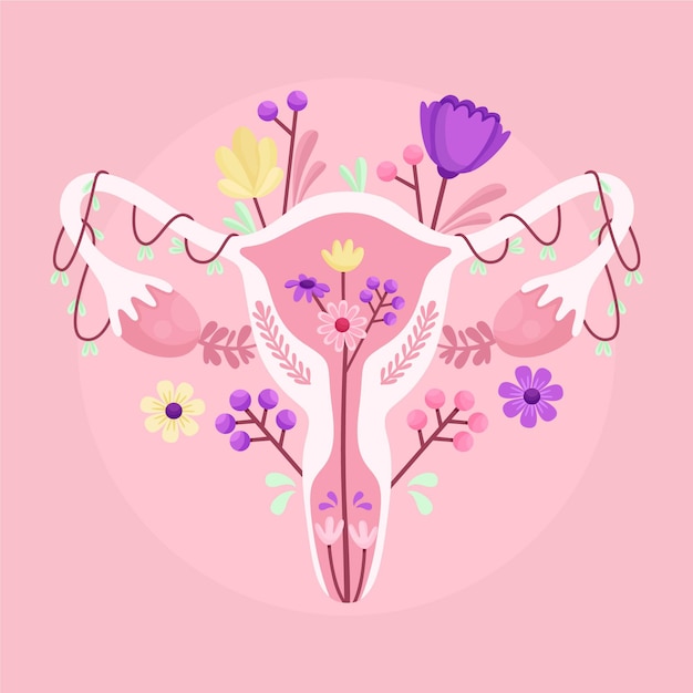 Female reproductive system with flowers | Free Vector