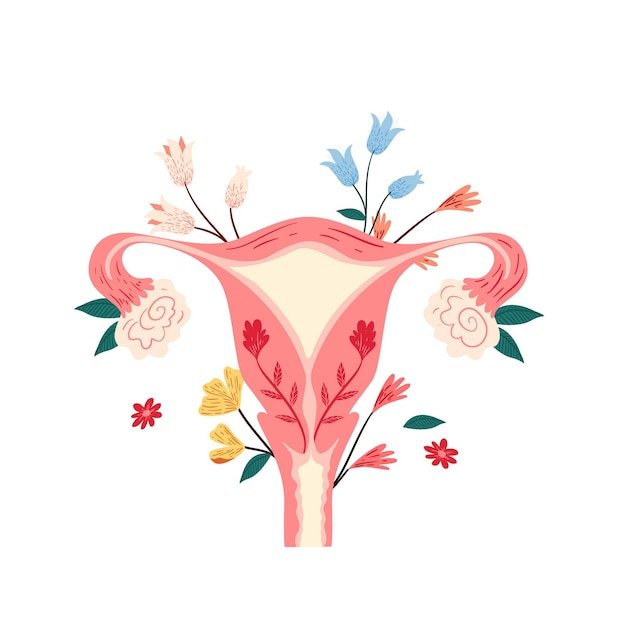 Premium Vector Female Reproductive System With Flowers