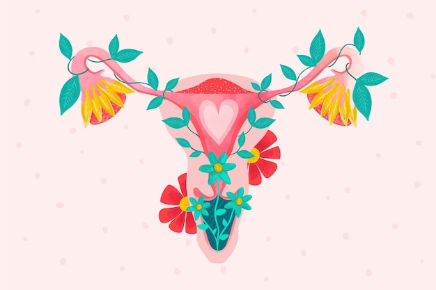 Premium Vector Female Reproductive System With Flowers