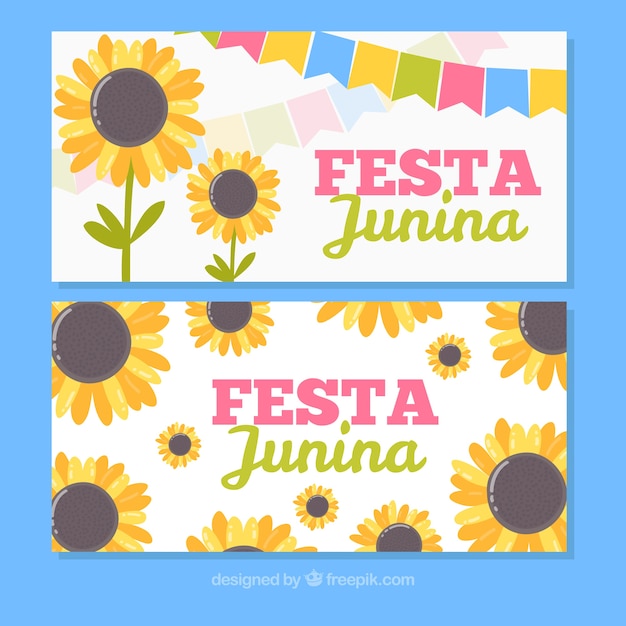 Festa junina banners with sunflowers