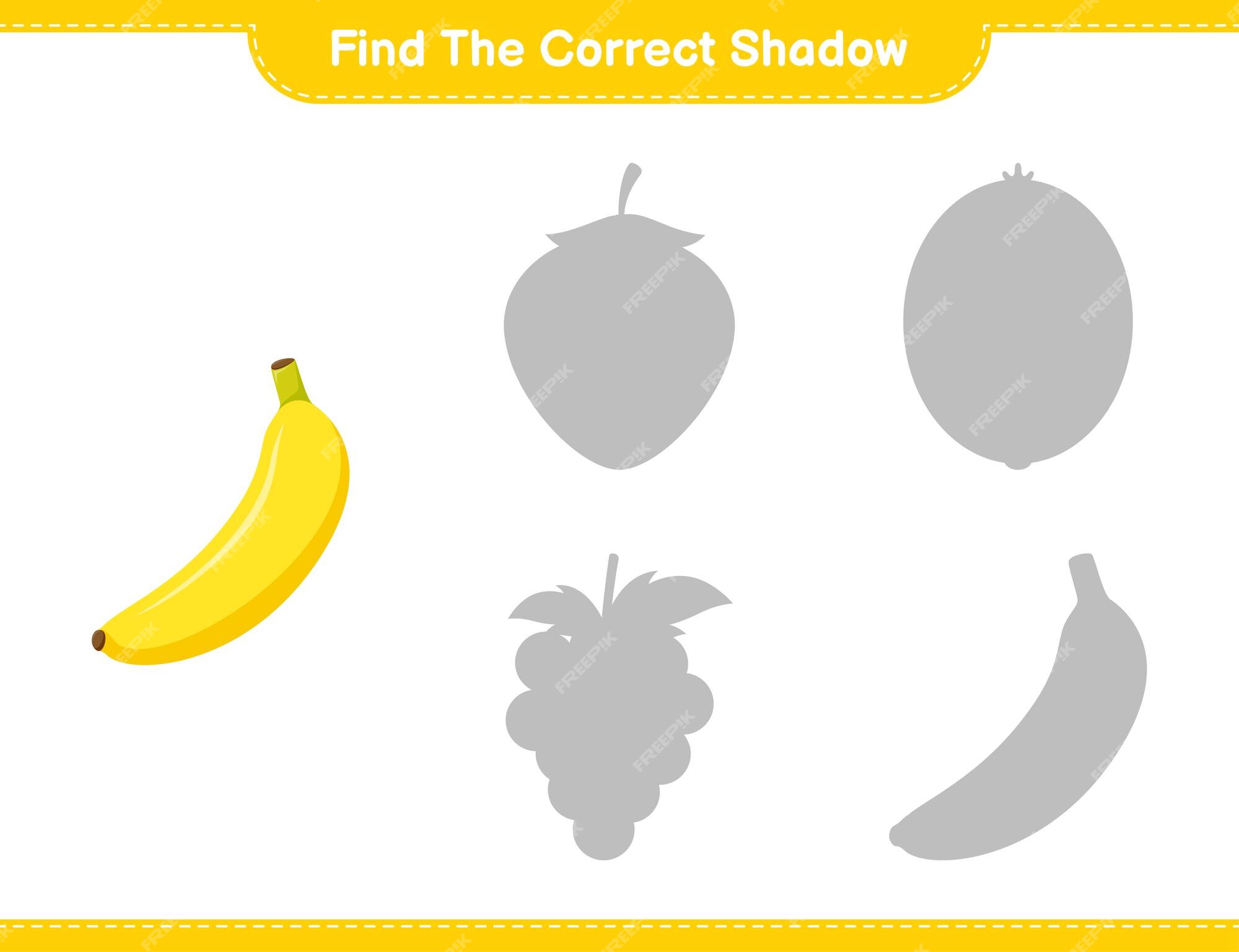 Premium Vector | Find the correct shadow. find and match the correct ...