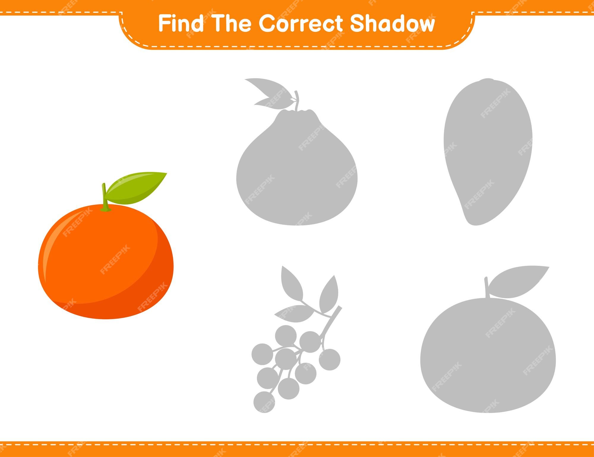 Premium Vector | Find the correct shadow. find and match the correct ...