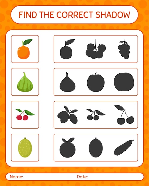 Premium Vector | Find the correct shadows game with fruits. worksheet