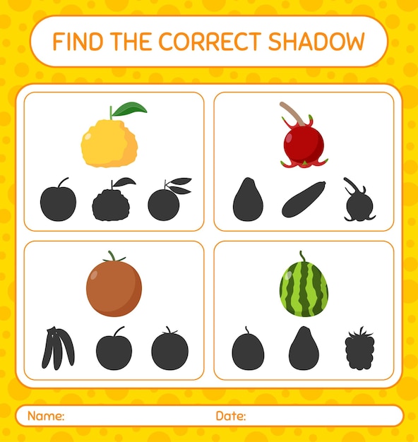 Premium Vector | Find the correct shadows game with fruits. worksheet