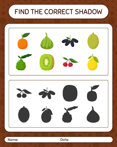 Premium Vector | Find the correct shadows game with fruits. worksheet