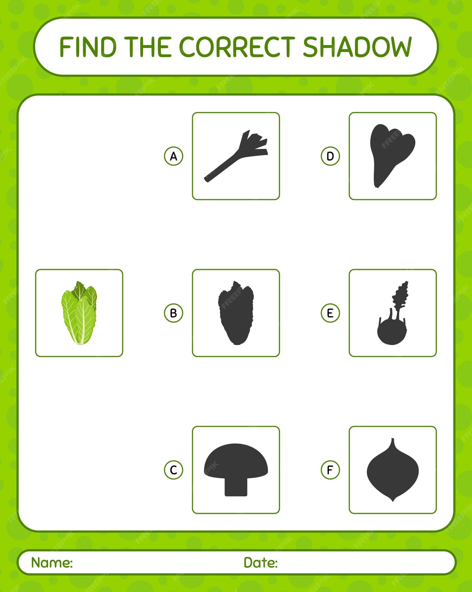 Premium Vector | Find the correct shadows game with lettuce worksheet ...