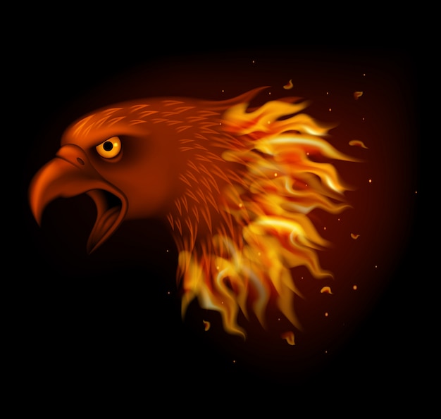 Premium Vector Fire Eagle Head Isolated On Black Background