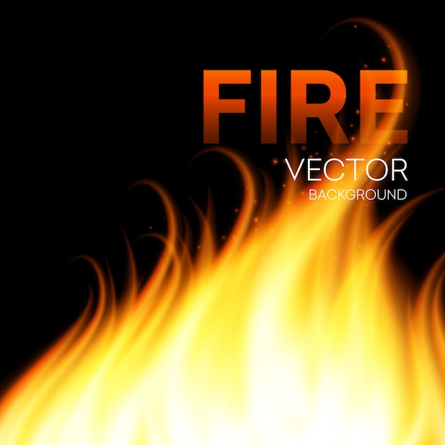 Premium Vector | Fire realistic background. illustration