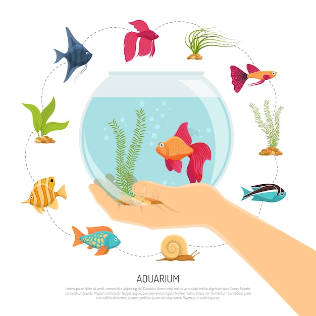 Download Fish bowl hand composition Vector | Free Download