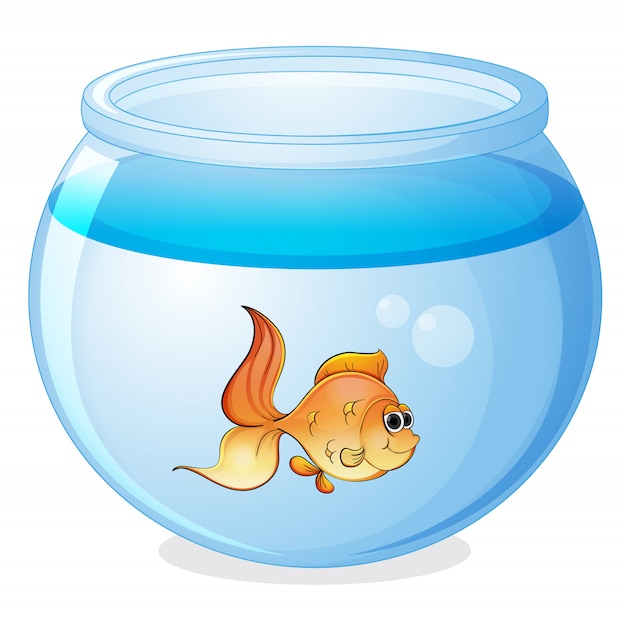 Download A fish and a bowl | Free Vector