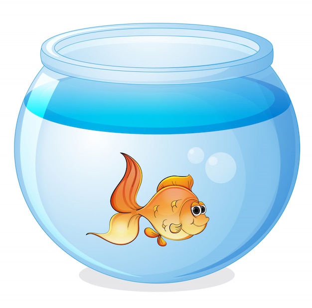 free-vector-a-fish-and-a-bowl