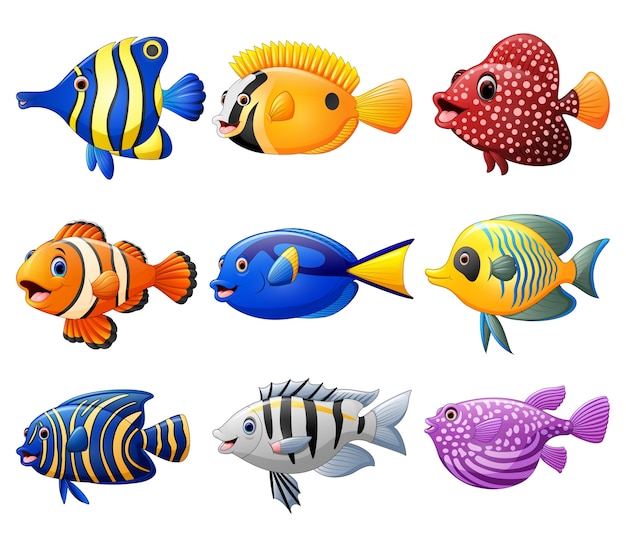 Premium Vector | Fish cartoon set