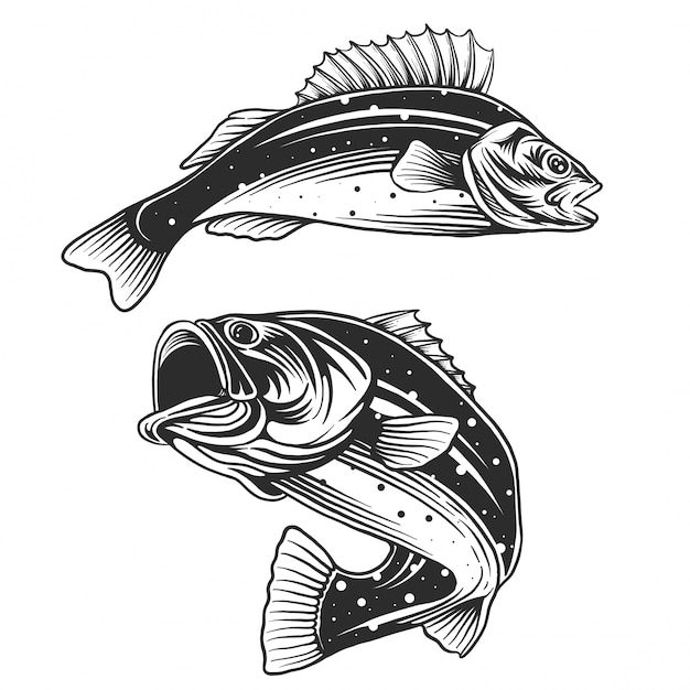 プレミアムベクター 魚のロゴ バスフィッシュとロッドクラブのエンブレム 釣りのテーマイラスト