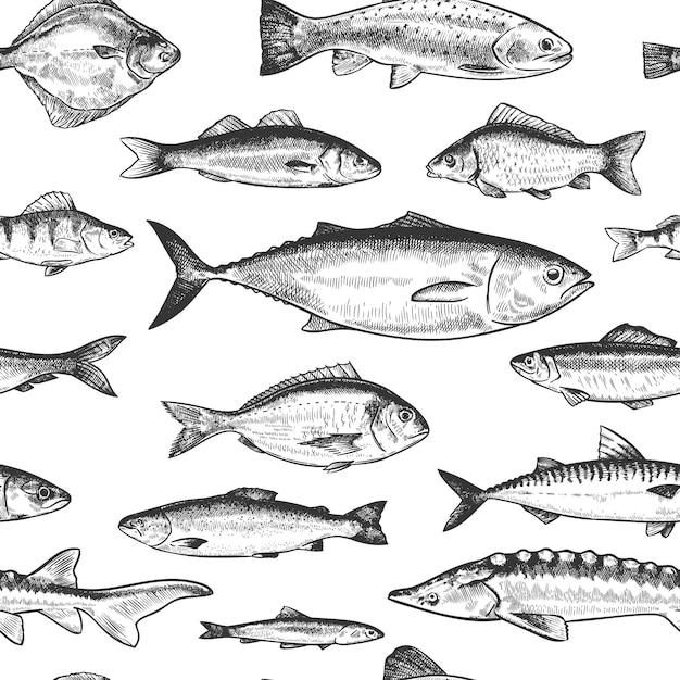 魚のシームレスパターン 手描きのさまざまな海と川の魚 海洋水中生物モノクロプリント壁紙スケッチベクトルテクスチャ スズキとカタクチイワシ ニシンとサバ シーバス プレミアムベクター