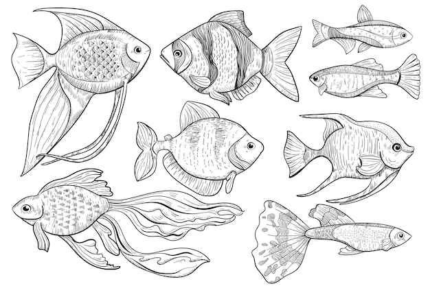 魚のスケッチ 淡水と海の魚の動物は 刻まれたスタイルのイラストをスケッチします 白い背景の上の食べ物や釣りのスポーツアイテム 手描きの水の生き物フードメニューアイコン プレミアムベクター