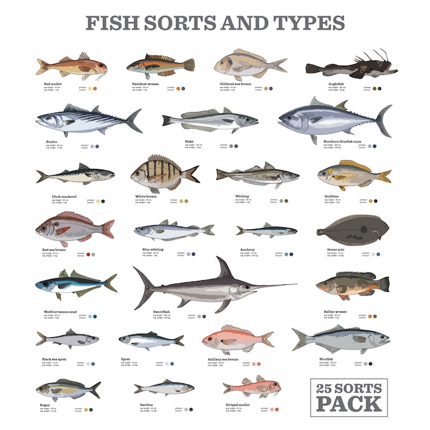 Premium Vector Fish Sorts And Types