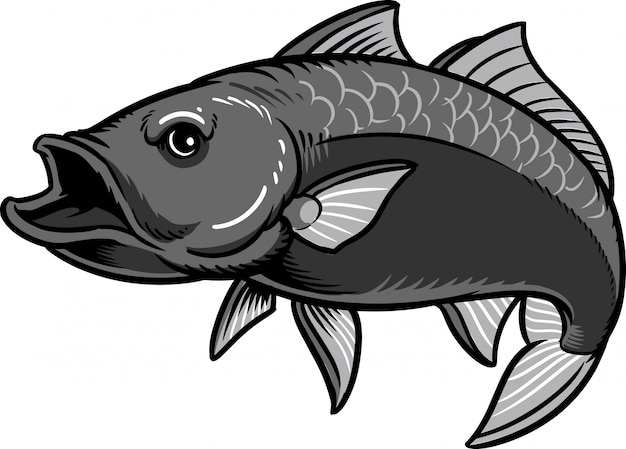 Download Fish Vector | Premium Download