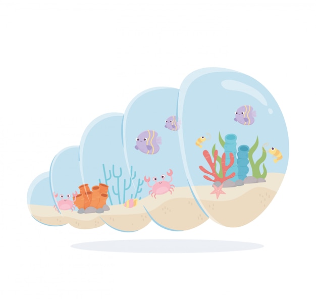 Download Free Fishes Crab Shrimp Coral Snail Shell Shaped Aquarium Under Sea Use our free logo maker to create a logo and build your brand. Put your logo on business cards, promotional products, or your website for brand visibility.