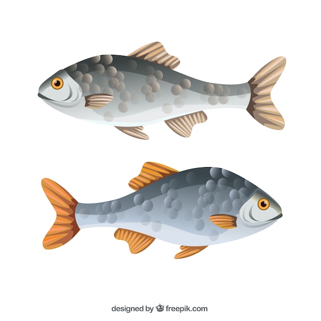 Fishes Free Vector