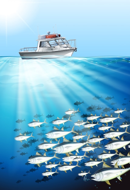 Download Fishing boat and fish under the sea | Free Vector