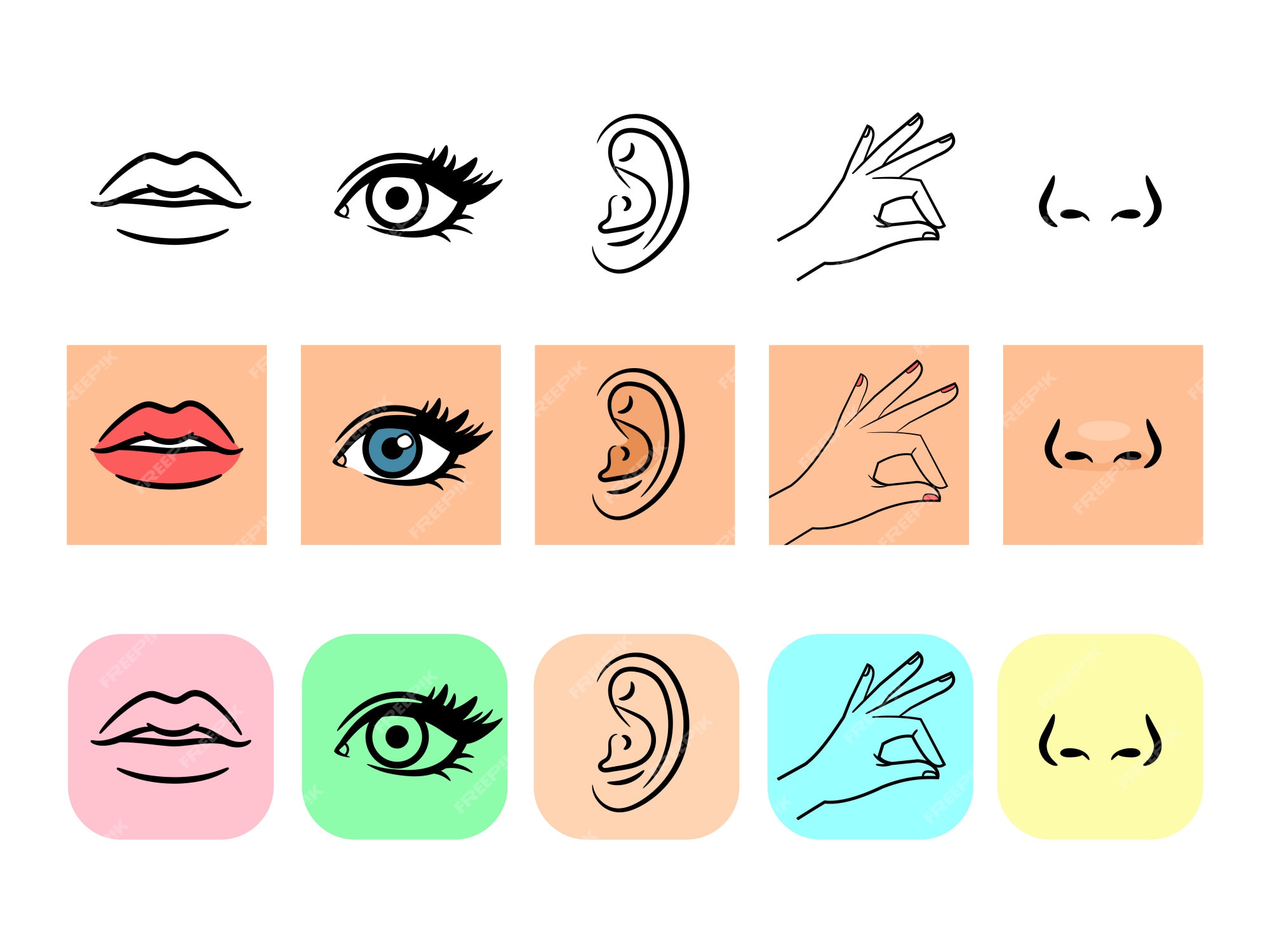 Premium Vector | Five senses icons