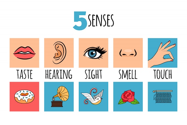 five-senses-infographic-premium-vector