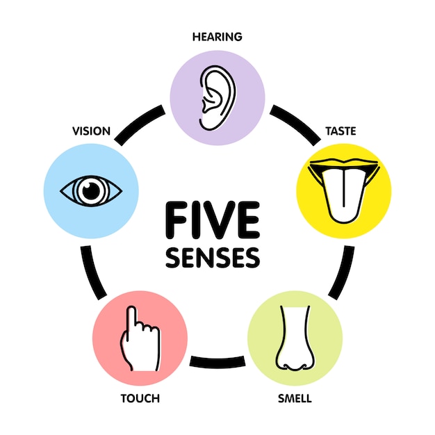 Premium Vector Five Senses Line Icons