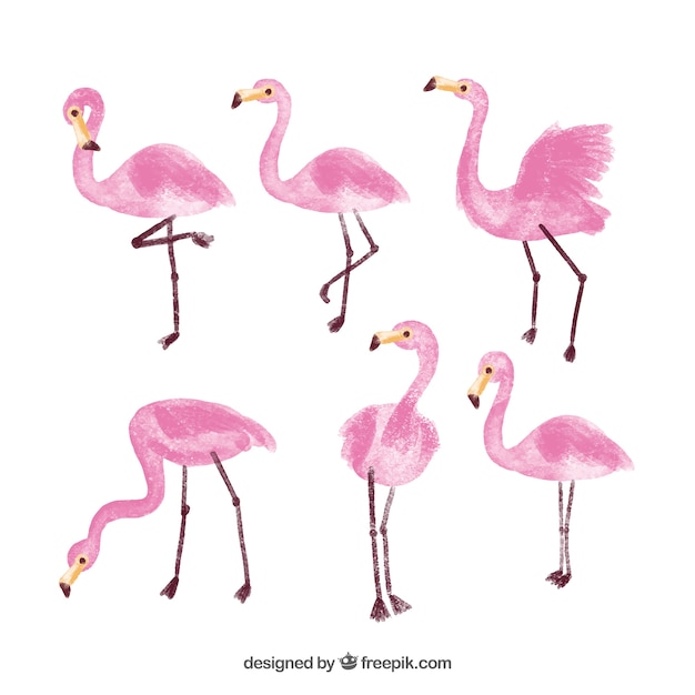 Download Free Vector | Flamingo collection in watercolor style