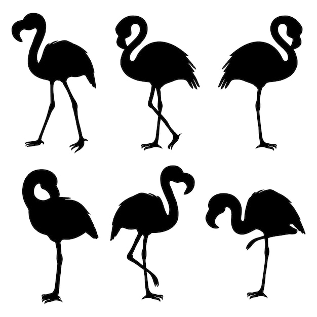 Flamingo Silhouette 画像 無料のベクター ストックフォト Psd