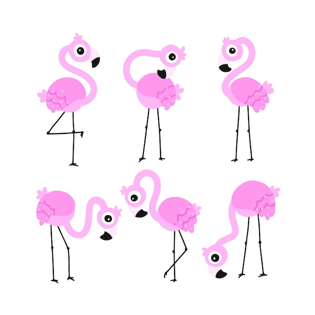 Premium Vector | Flamingo set