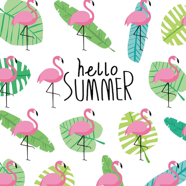 Download Flamingo, summer, Vector | Premium Download