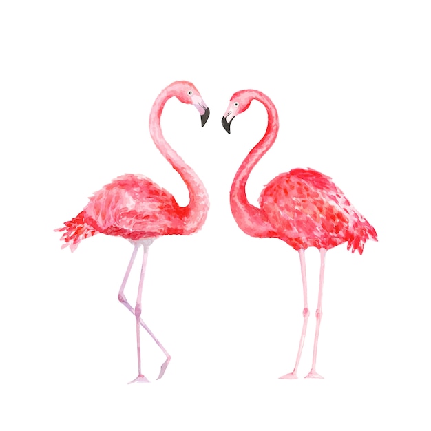 Download Flamingo. watercolor tropical bird. illustration | Premium Vector