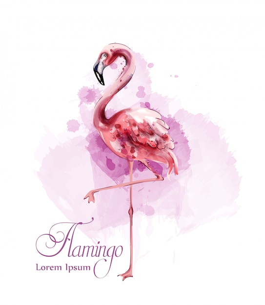 Download Flamingo watercolor Vector | Premium Download