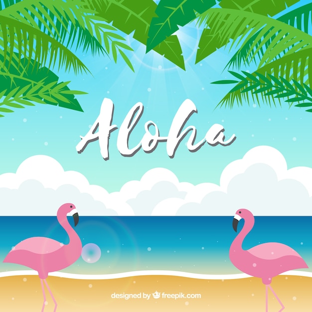 Flamingos beach aloha background