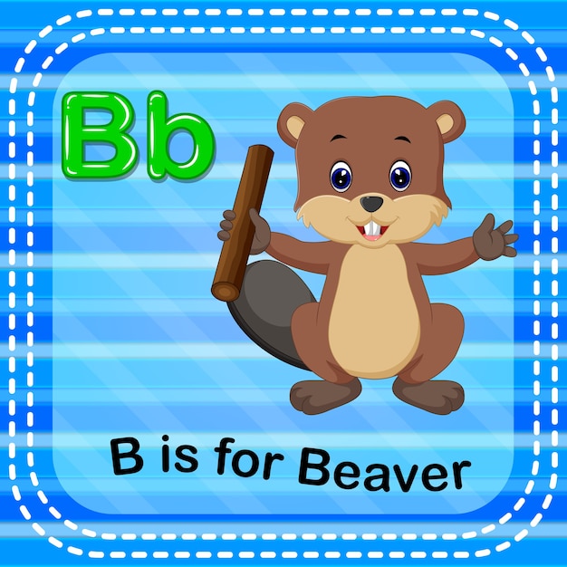 Premium Vector | Flashcard Letter B Is For Beaver