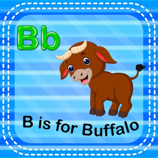 Premium Vector | Flashcard Letter B Is For Buffalo