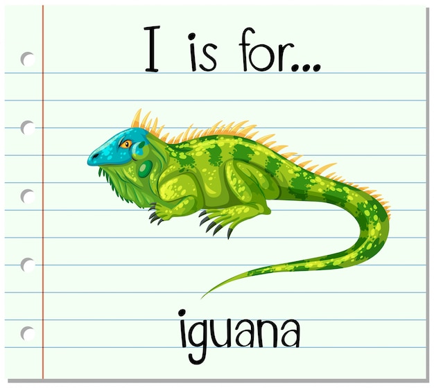 free-vector-flashcard-letter-i-is-for-iguana