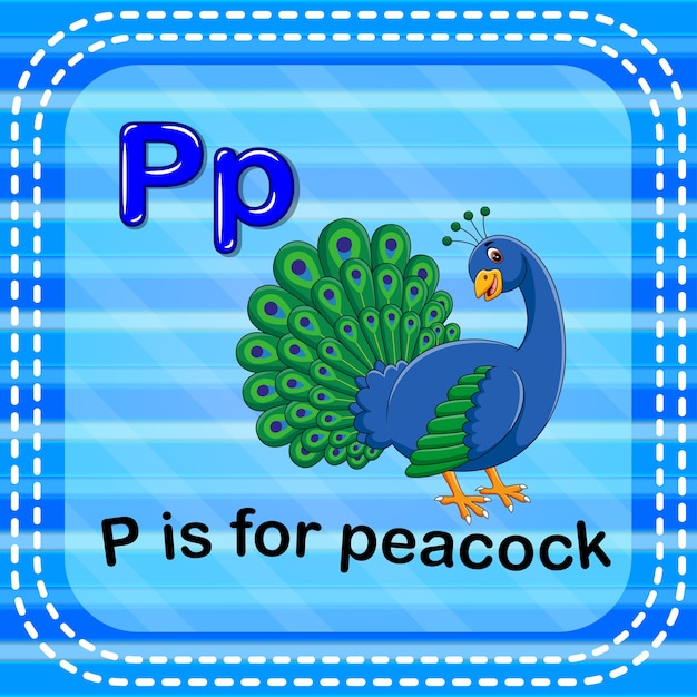 premium-vector-flashcard-letter-p-is-for-peacock
