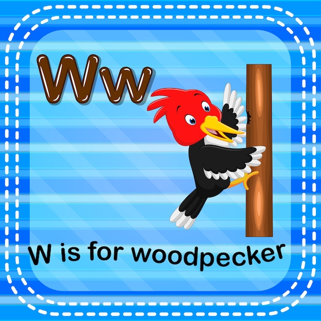 Premium Vector | Flashcard letter w is for woodpecker