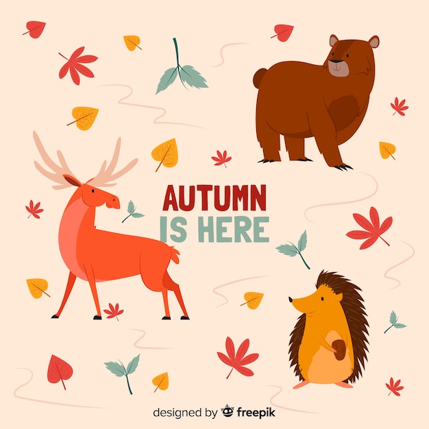 Download Flat autumn forest animal collection | Free Vector