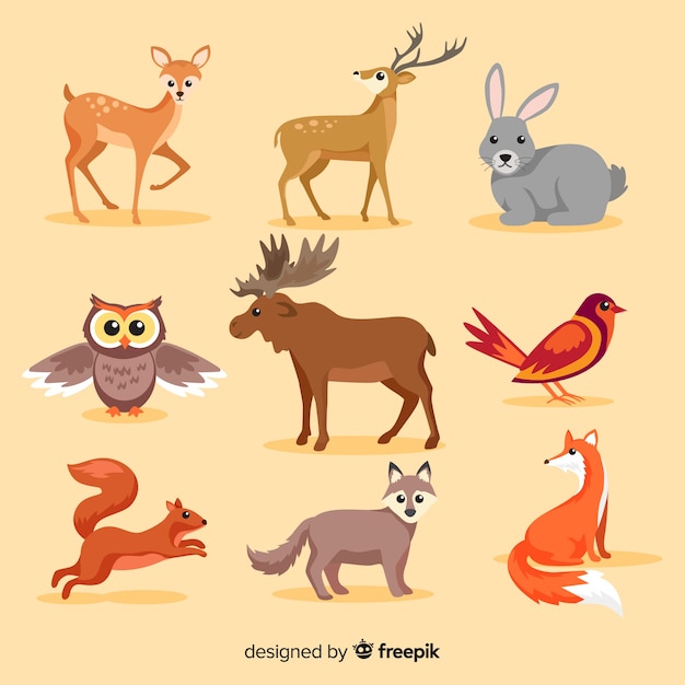 Download Flat autumn forest animal collection Vector | Free Download