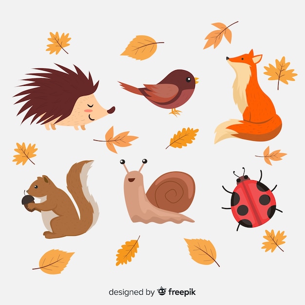 Spiksplinternieuw Flat autumn forest animals collection | Free Vector GQ-42